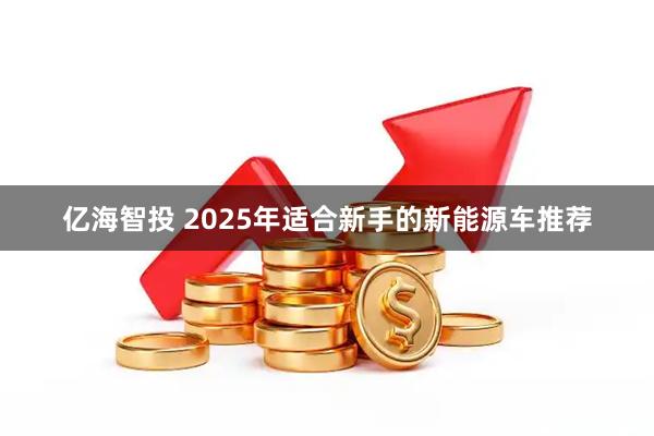 亿海智投 2025年适合新手的新能源车推荐