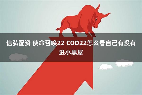 信弘配资 使命召唤22 COD22怎么看自己有没有进小黑屋