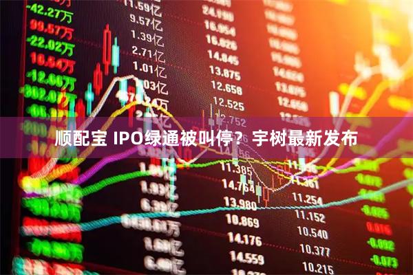 顺配宝 IPO绿通被叫停？宇树最新发布